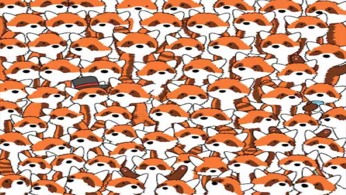 Find the 3 foxes hiding among the red pandas