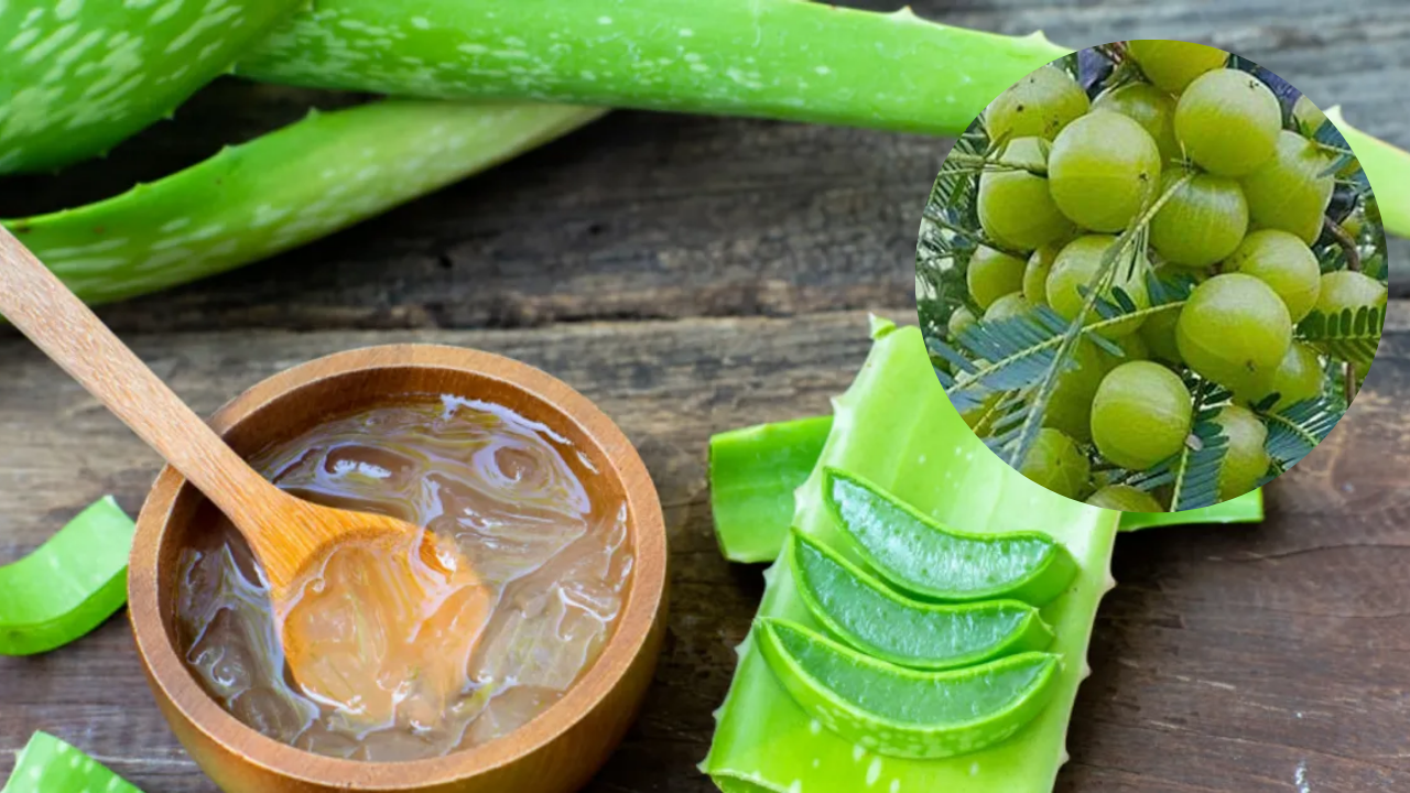 How to get healthy hair