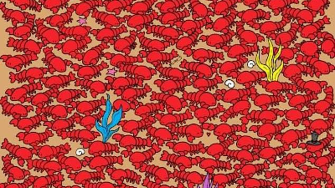 Optical Illusion Find the hidden crob amidst the lobster crowd