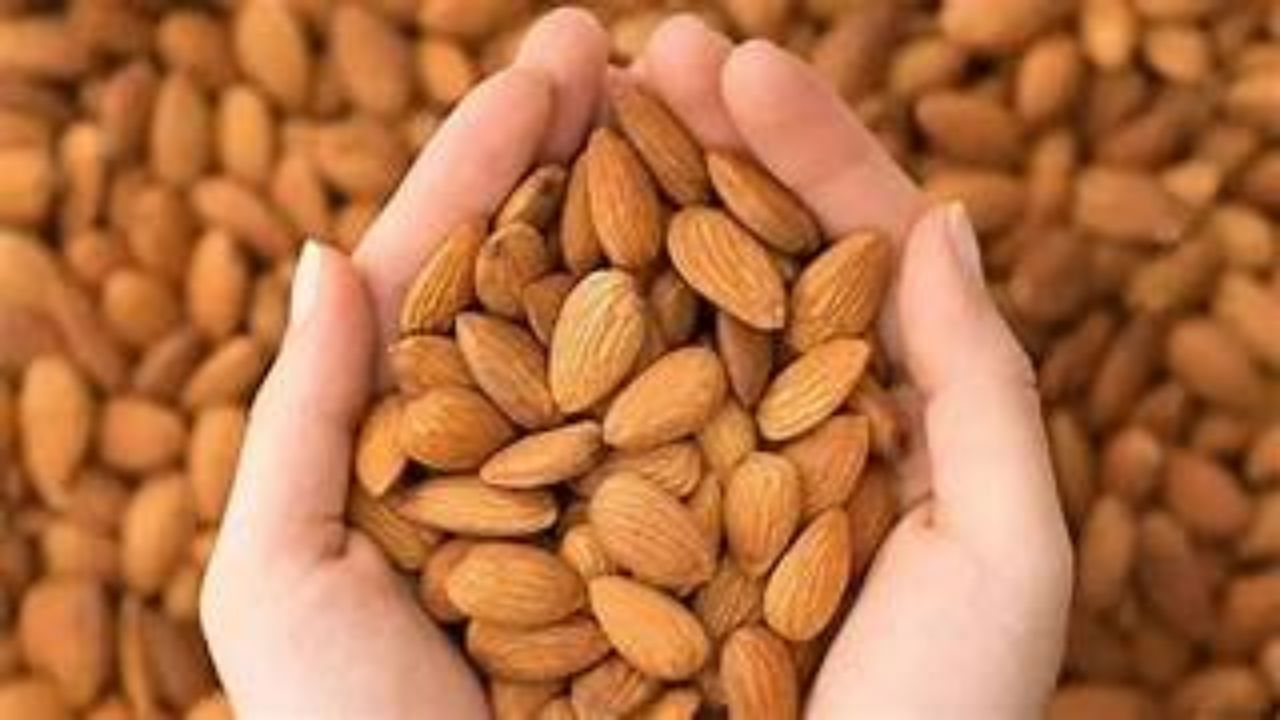 how many almonds you can eat per day