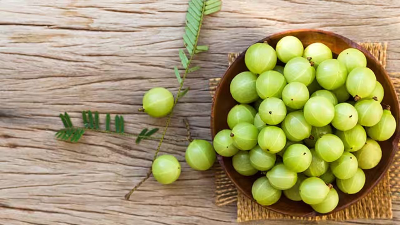 Which Indian state produces the most gooseberries