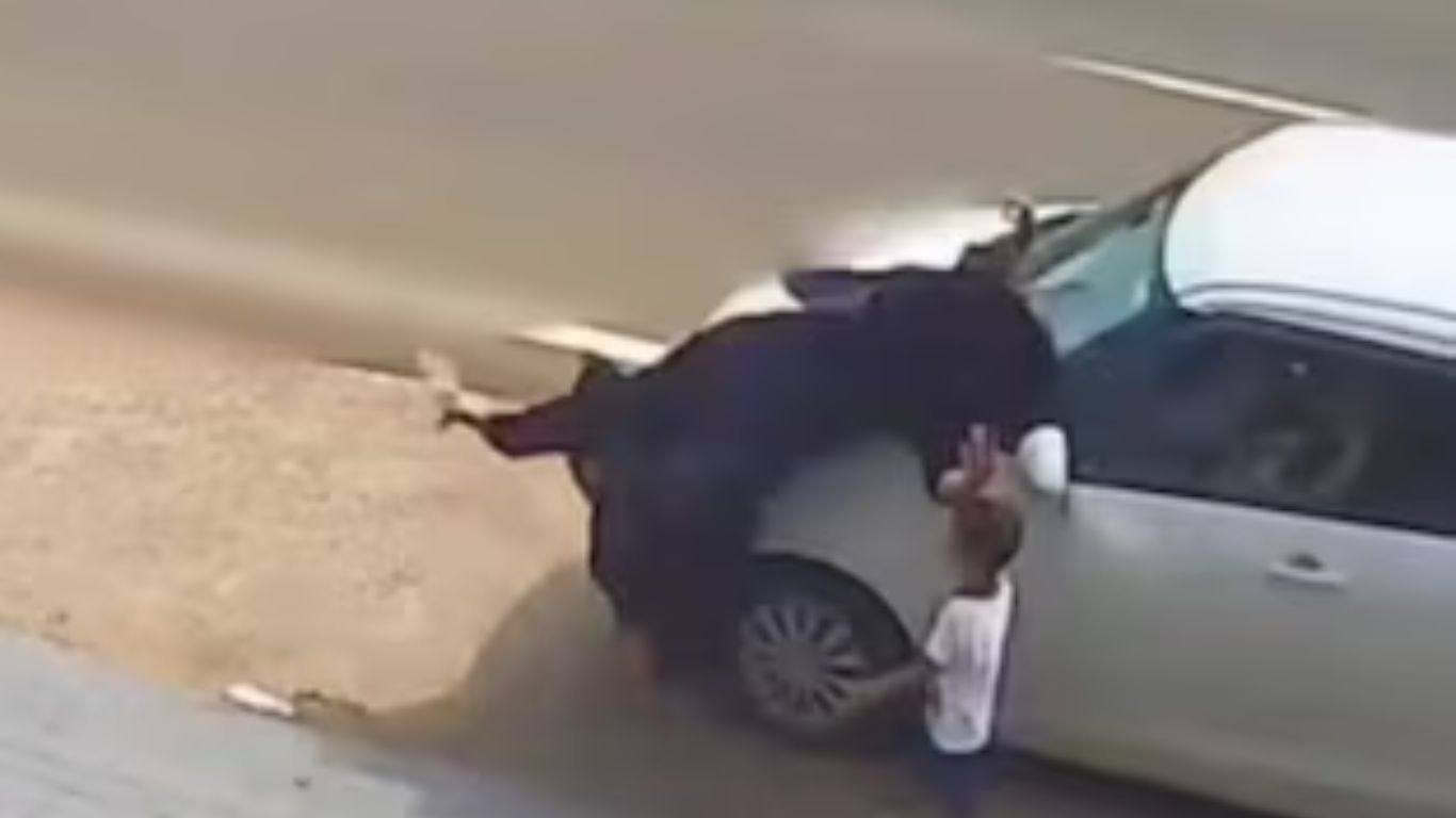 A woman was hit by a speeding car in Keralas Malappuram district.