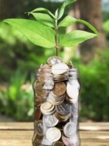 Best Focused mutual funds in last 5-year-return (13)