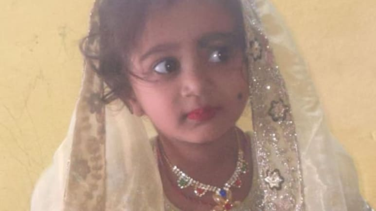 girl dies In Karnataka After Stray Dog Bite