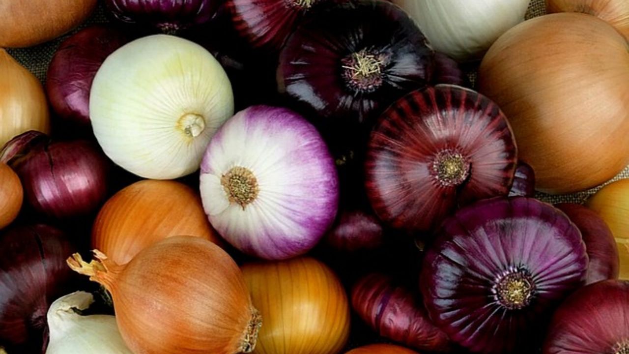 Onions Banned place in india