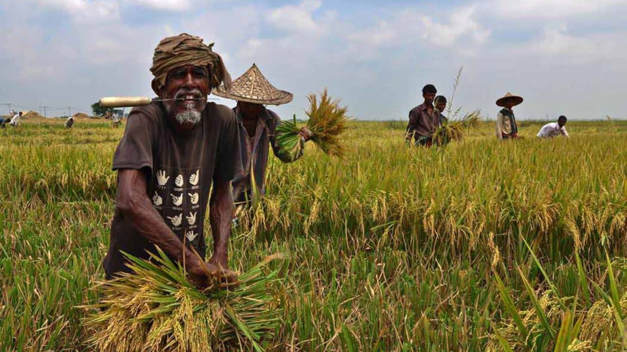 Farmers