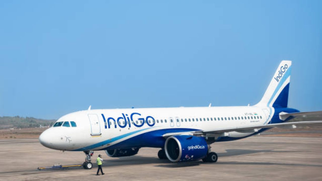 IndiGo