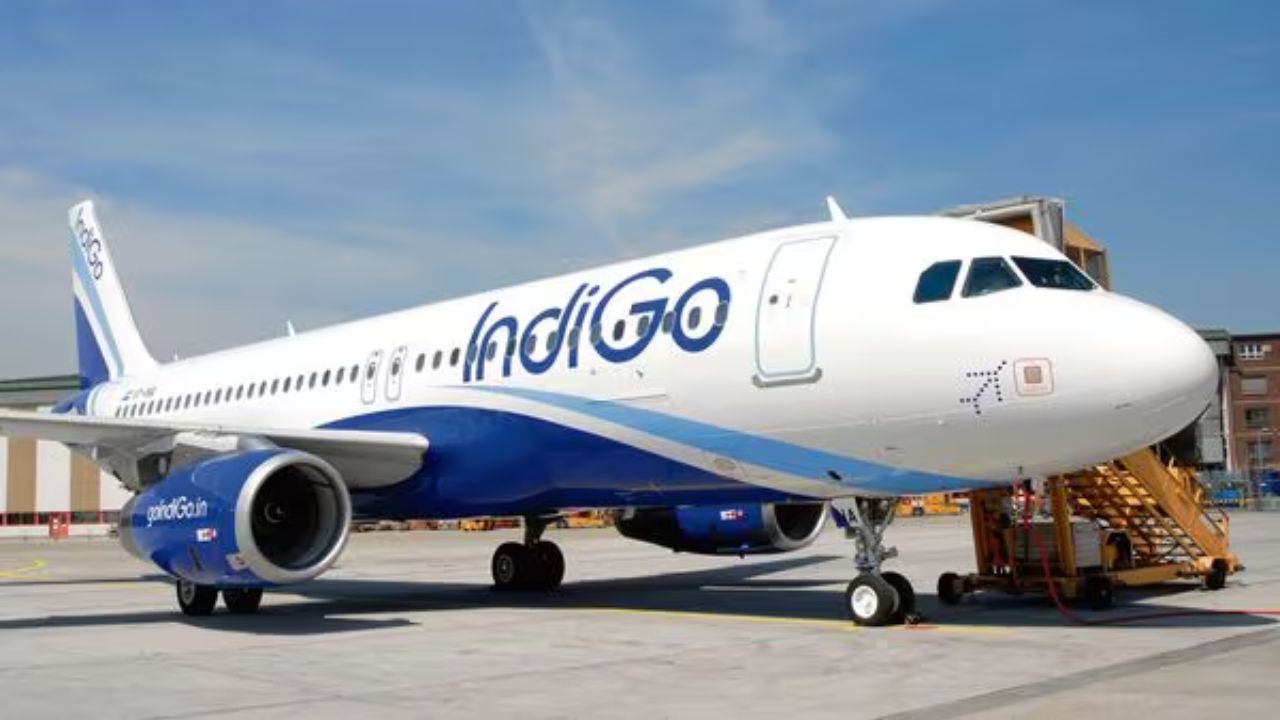IndiGo share price