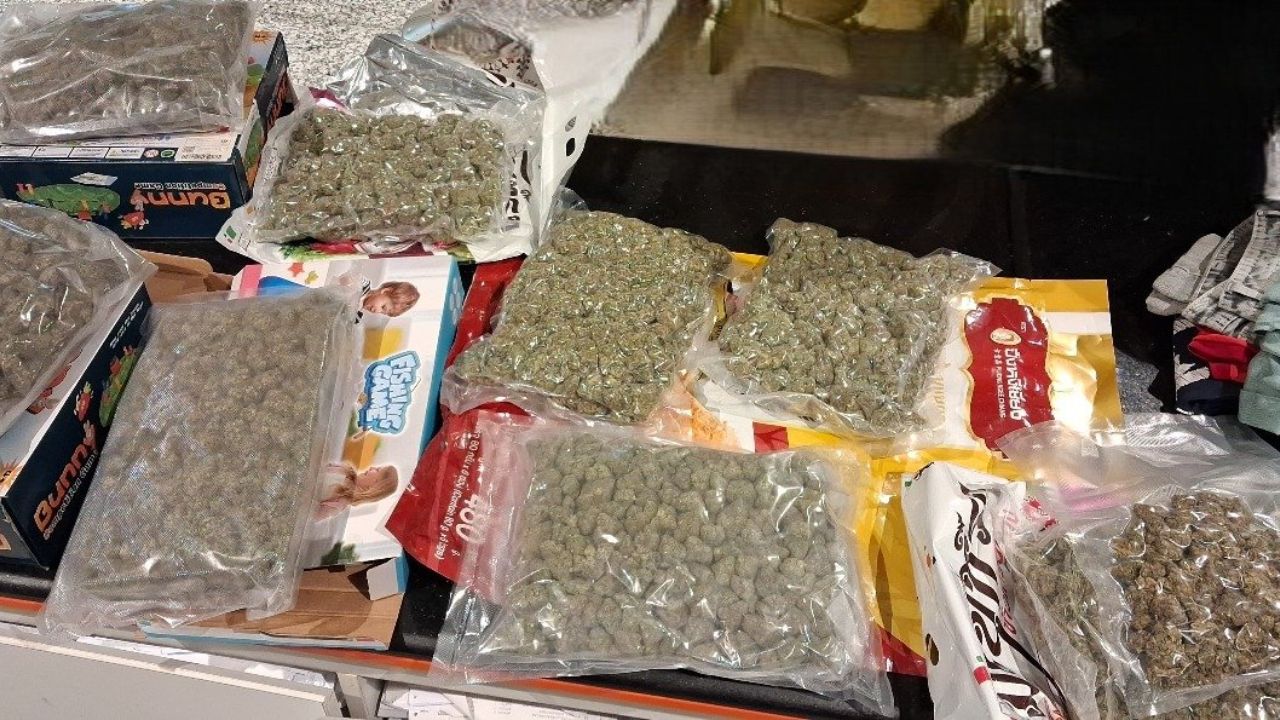 hydroponic ganja seized at Chennai airport
