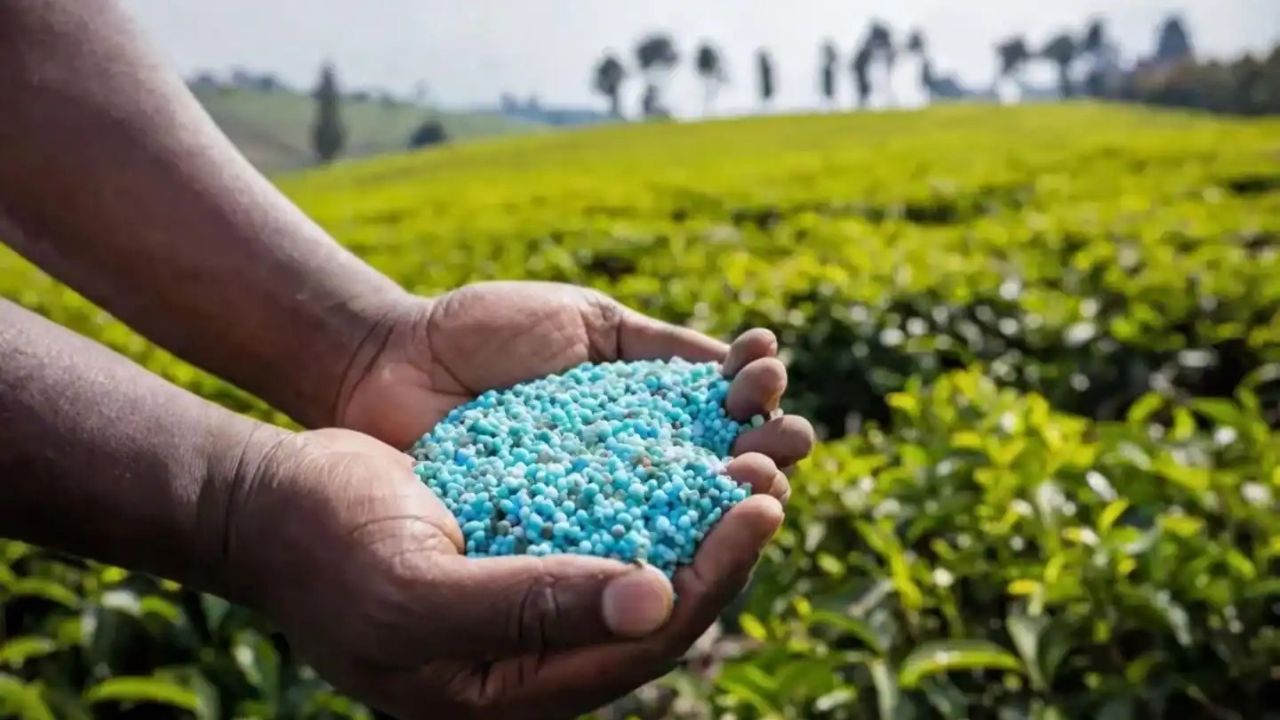 Fertiliser price hike