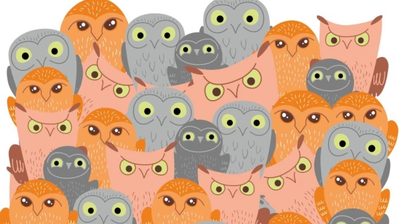 ஆப்டிக்கல் இல்லுசன் புதிர்