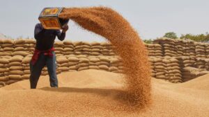 Wheat Procurement Target Up 15%