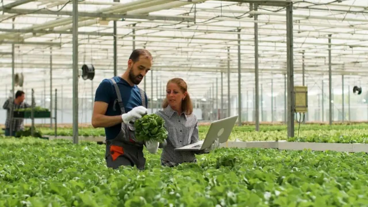 விவசாயம்
