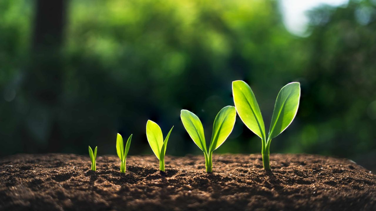 இந்தியாவின் வளர்ச்சி உயர்வு
