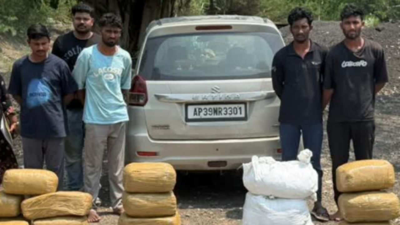 தாம்பரத்தில் கஞ்சா பறிமுதல்
