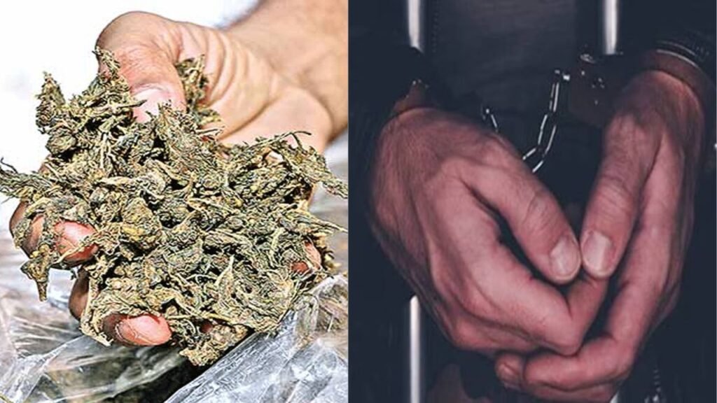 7 KG GANJA SEIZED