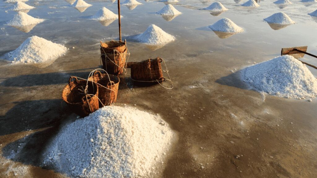 Salt Production Peaks in Marakkanam