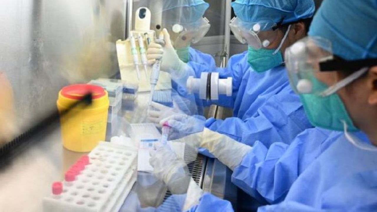 Hantavirus