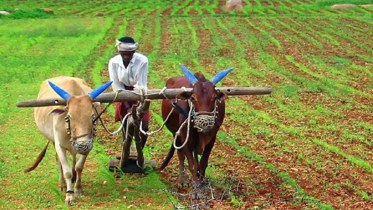 Crop Loan Waiver