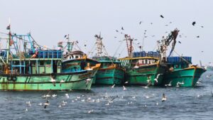 Fish prices may ease post-ban