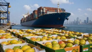 Sea Route for Indian Mangoes