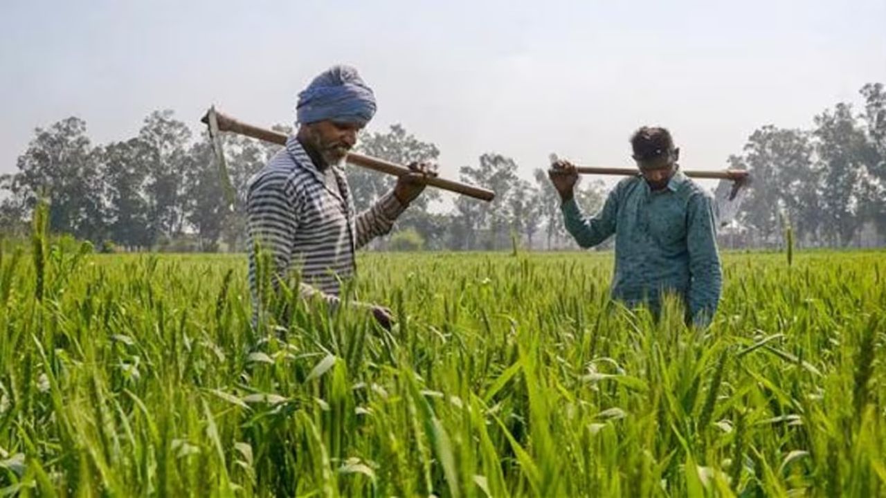 PM Kisan 23rd installment