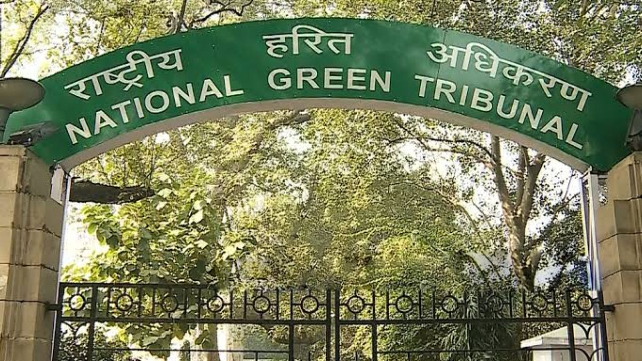 Green Tribunal Warning