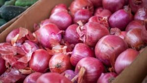 Onion Procurement Slumps