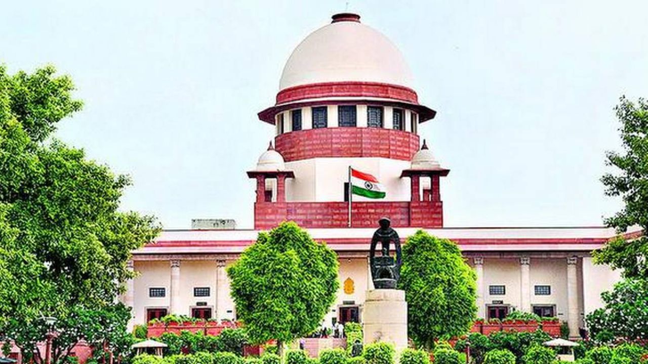 HC's cow slaughter ban