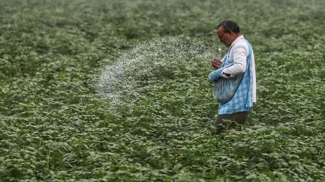 India urea imports