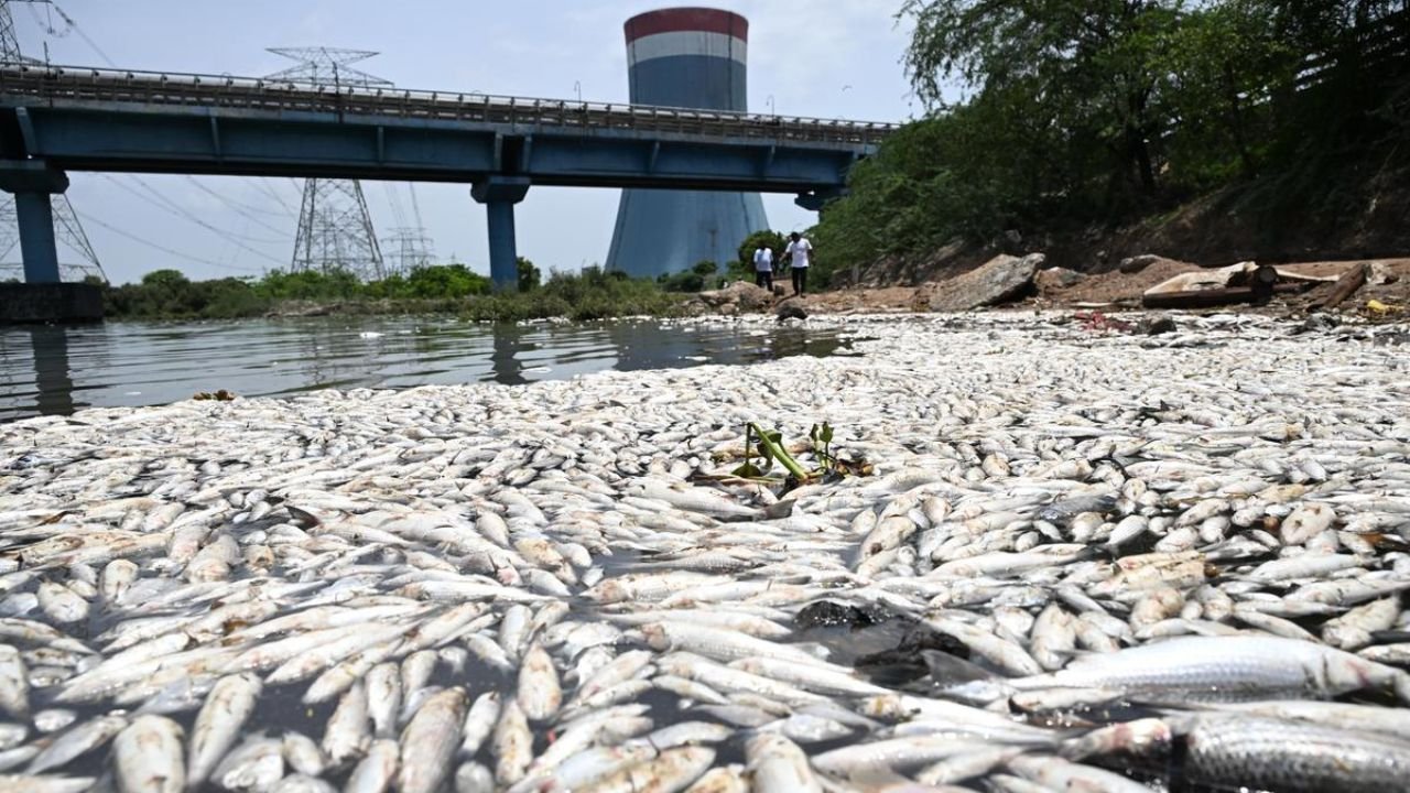 Kosasthalai River