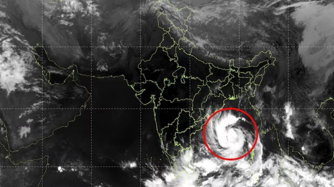 Cyclone Alert