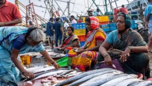 Fish Price Hike