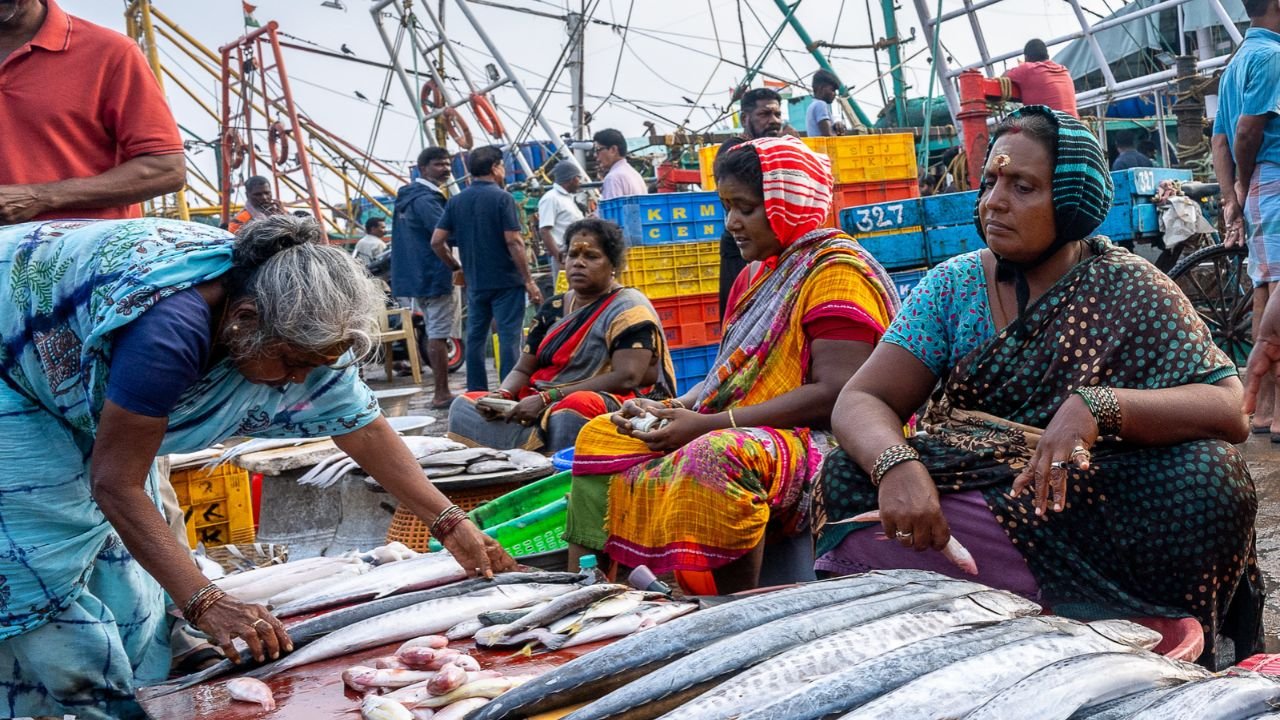 Fish Price Hike