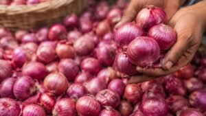 Onion Price Rise