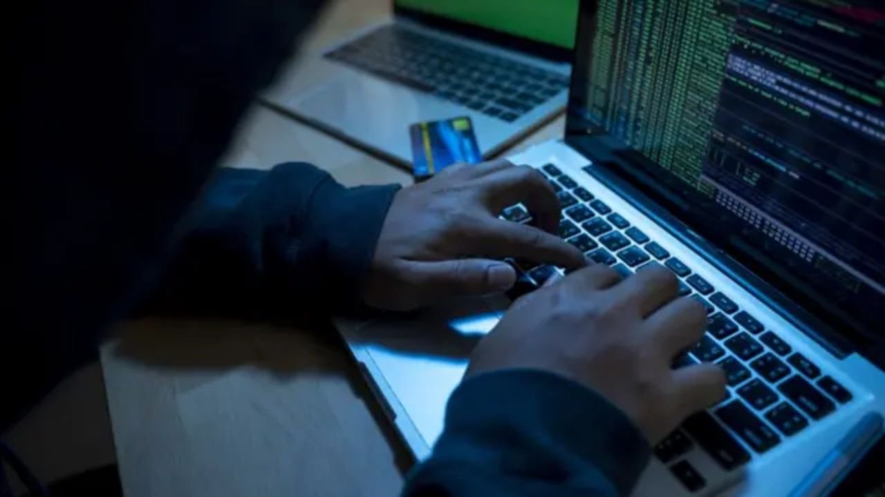 Investment Fraud Arrest