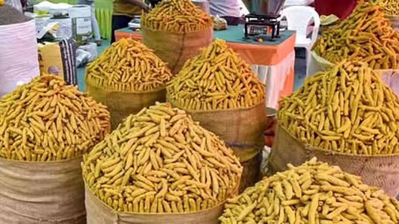 Erode Turmeric Price Rise