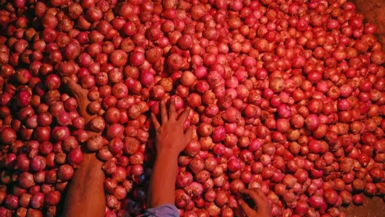 Onion Sales Incentive