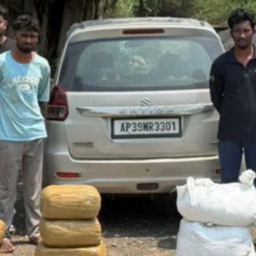தாம்பரத்தில் கஞ்சா பறிமுதல்
