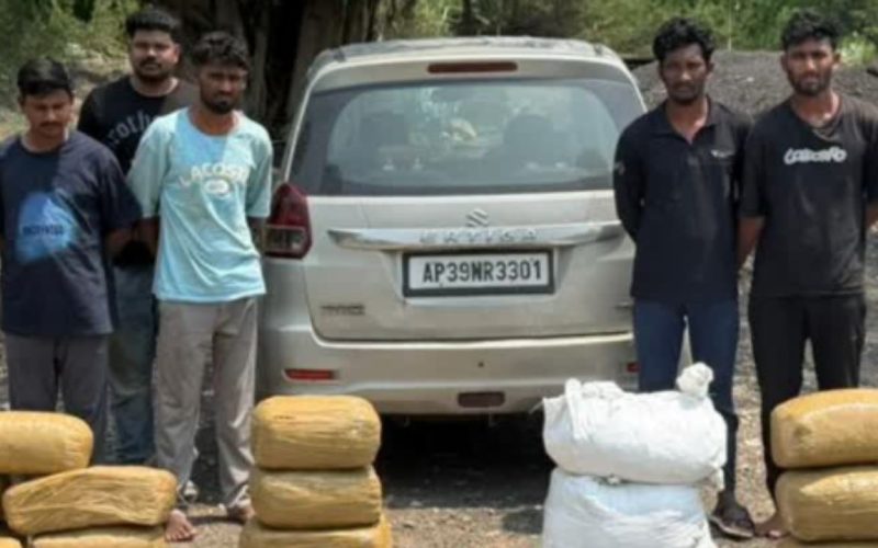 Massive Ganja Seizure