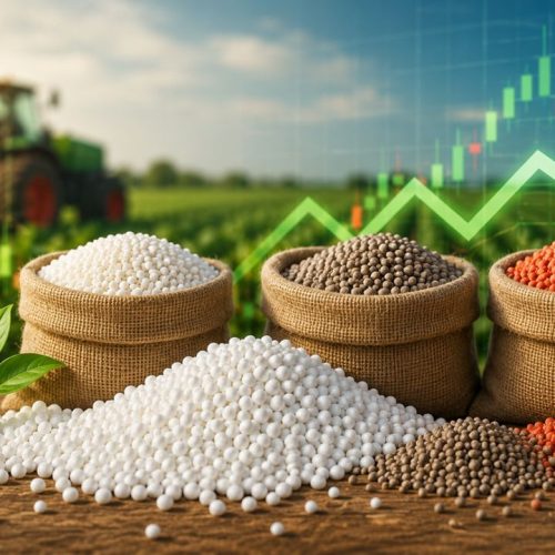 Fertilizer Stocks with Strong Fundamentals