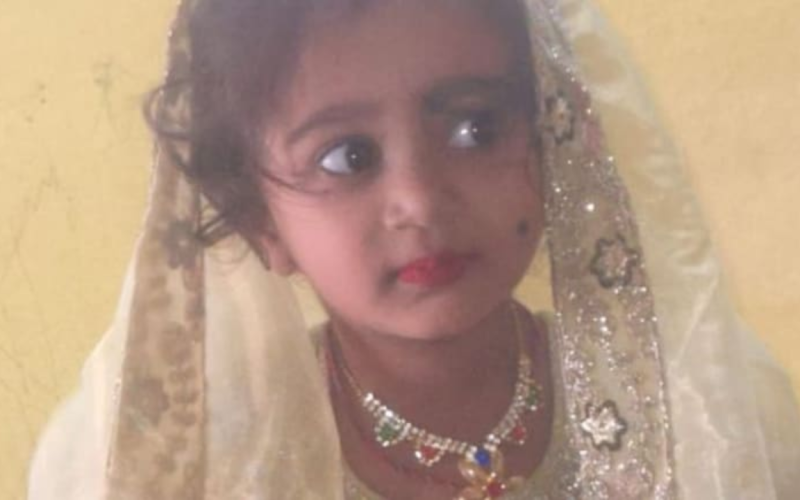 girl dies In Karnataka After Stray Dog Bite