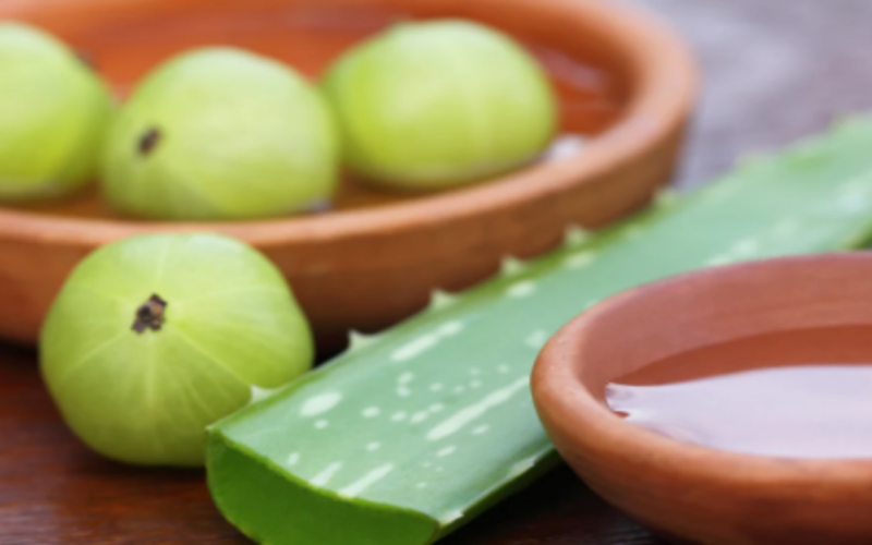 Gooseberry vs aloevera Know what is best for hair growth