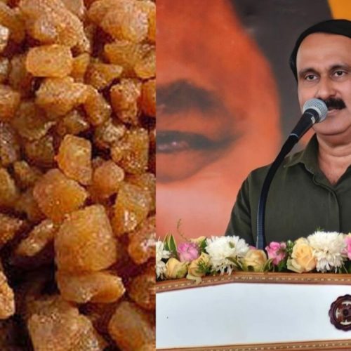 பனங்கற்கண்டு, அன்புமணி ராமதாஸ்