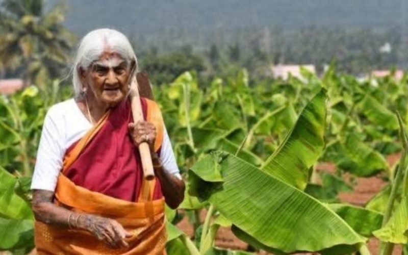 Coimbatore Pappammal death