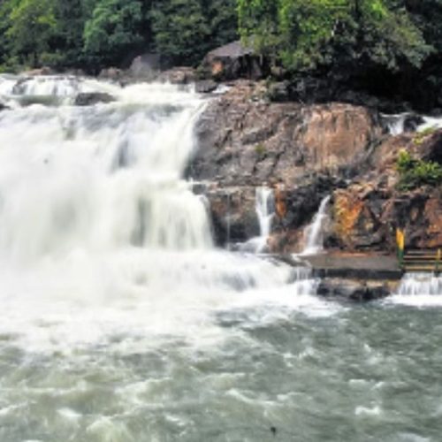 மணிமுத்தாறு அருவி 