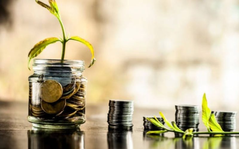 Mutual fund