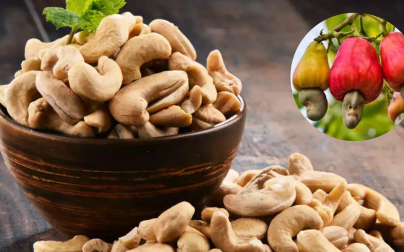 Know the benefits of Cashonut taking on daily