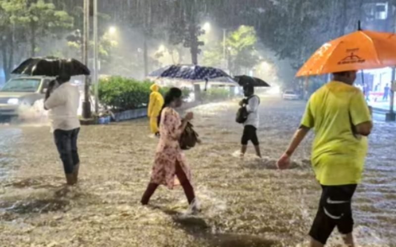 Meteorological Department warns of heavy rain in these districts