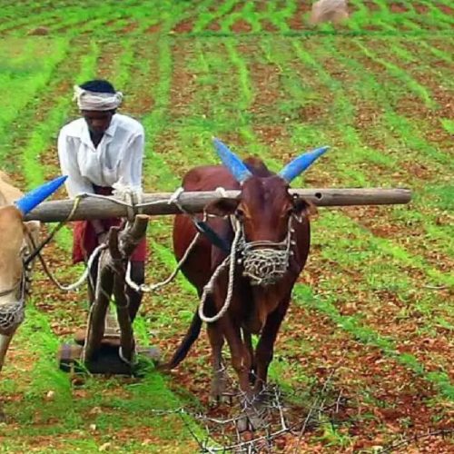 Crop Loan Waiver